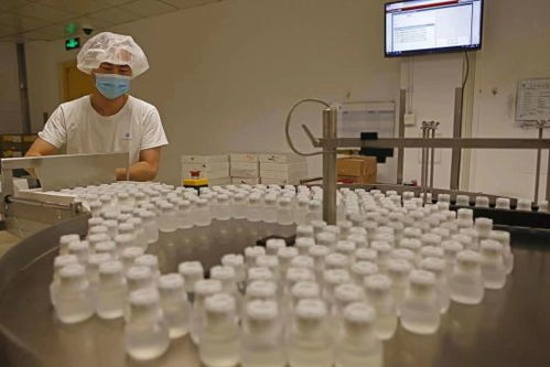 GE醫療堅定扎根中國信心，以更大規模參展第五屆進博會